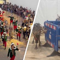 "Ese animal es anciano o no está en condiciones de desfilar". Qué está pasando con los renos de Navidad de El Escorial 