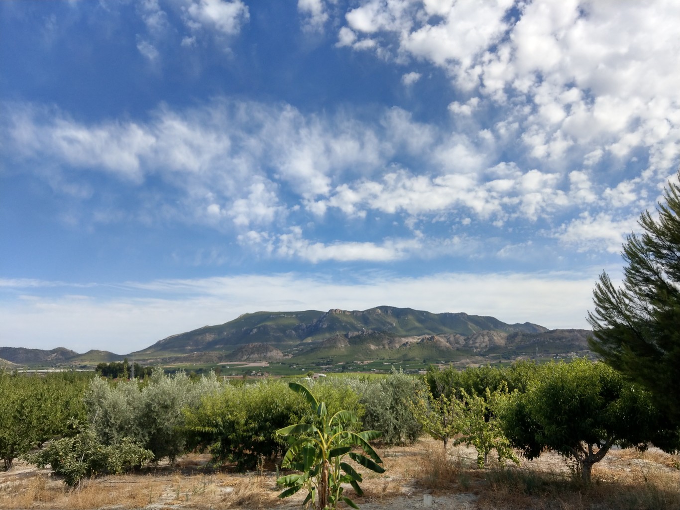 HTC U11, análisis. Review con características, precio y especificaciones