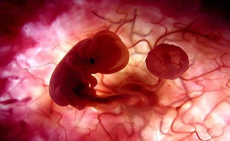 La fecundación in vitro favorece el nacimiento de bebés varones