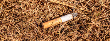 El multazo que te pone ahora la DGT por tirar una colilla desde el coche. Recuerda: provoca incendios y accidentes