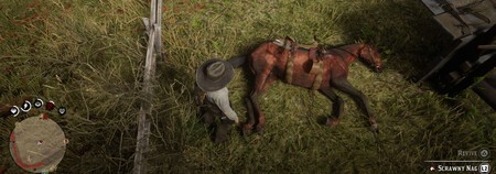 Revivir Caballo Rdr2