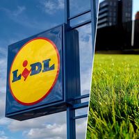 Hoy en Lidl: un cortacésped recargable y económico con el que dejar perfectos los jardines pequeños y estrechos 