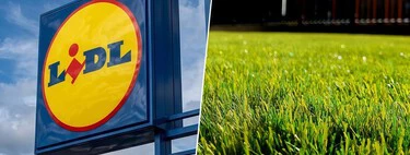 Hoy en Lidl: un cortacésped recargable y económico con el que dejar perfectos los jardines pequeños y estrechos 