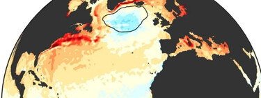 Llevamos 30 años sin saber porque hay una zona del Atlántico que se enfría mientras el planeta arde. Ahora tenemos una idea