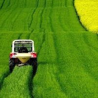 ¿Qué trabajadores están obligados a cotizar por el régimen agrario de la Seguridad Social?