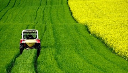 ¿Qué trabajadores están obligados a cotizar por el régimen agrario de la Seguridad Social?