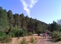 Consejos para pequeños excursionistas