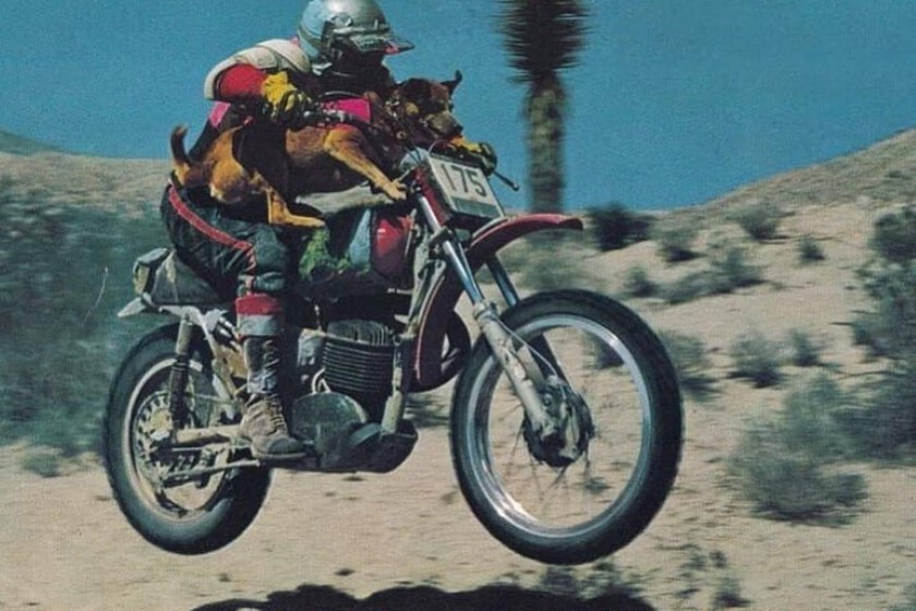 www.motorpasionmoto.com