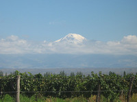 El primer Wine & Golf Resort del mundo