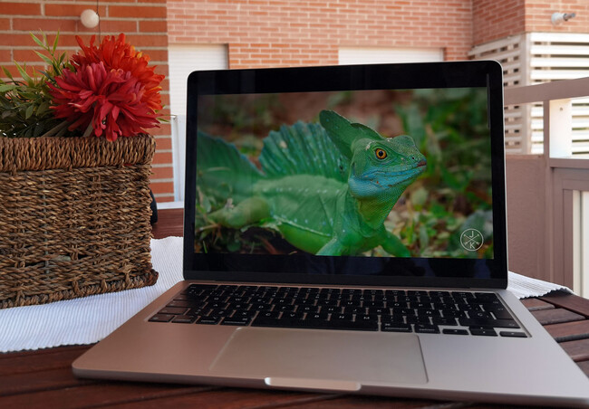 Macbook Air M2 2022 13インチ MacBook Air M2 13インチ2022 16GB,256GB Amazon.com: Apple 2022