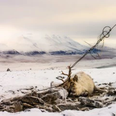 Foto 2 de 9 de la galería denuncia-ecologica en Xataka Foto