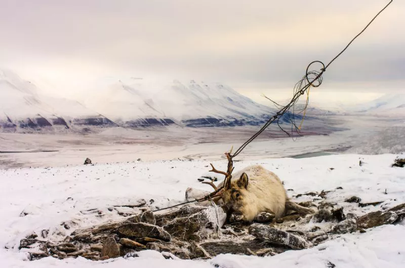 Foto de Denuncia ecológica (2/9)