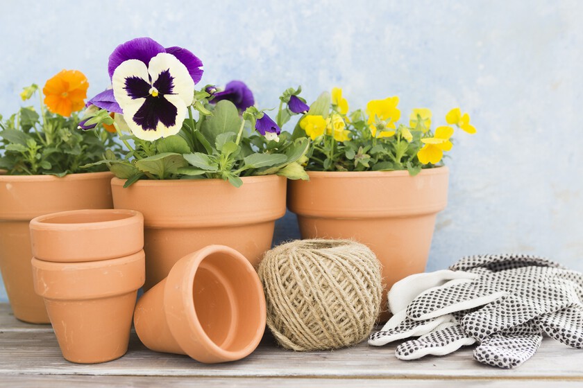 Con estos soportes para plantas de Aldi podrás transformar tu terraza en un vergel: son de diseño y cuestan poco dinero