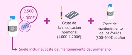 Congelar Ovulos Mantenimiento