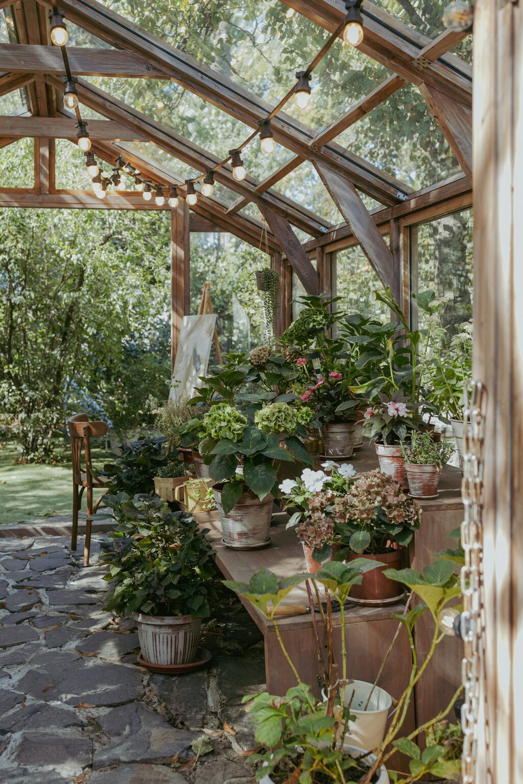 Un jardín de ensueño empieza con estas cuatro plantas trepadoras: cubren tus paredes y llenan tu jardín de aroma 