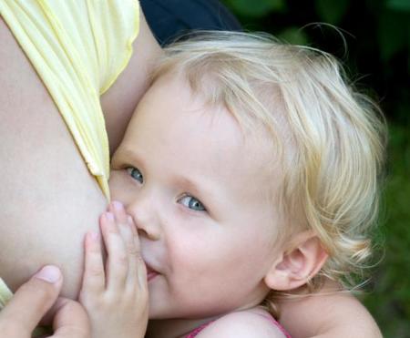 La lactancia materna prolongada no está relacionada con el desarrollo de caries