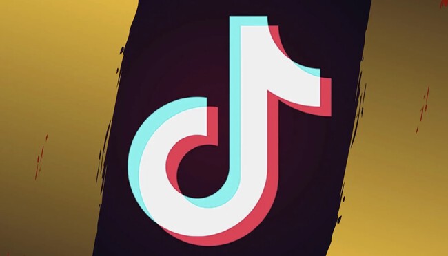 Tiktok Descarga