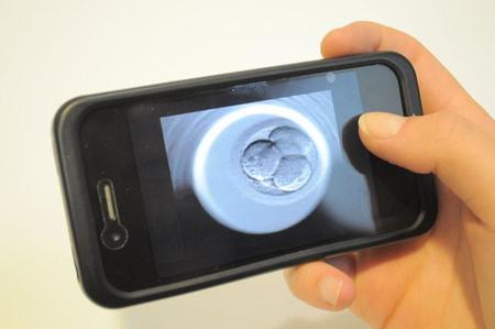 Una aplicación permite ver la fecundación de tu hijo por internet en los tratamientos de fertilidad