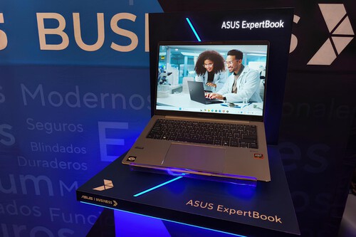 Asus Expertbook P3 6