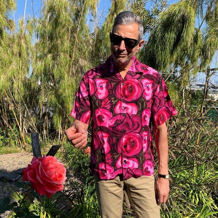 Todas las razones por las que tienes que seguir a Jeff Goldblum en Instagram