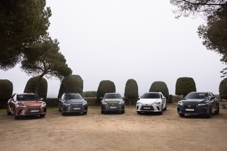 Lexus RX 2023 Prueba Contacto 23