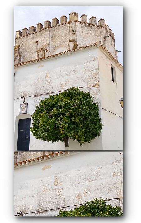 X2 Recorte