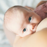 La lactancia materna ayuda a prevenir infecciones respiratorias en el bebé como la bronquiolitis  