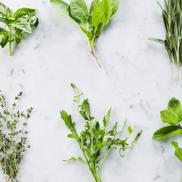 Estas cinco hierbas aromáticas sobreviven al frío del invierno y es buena idea cultivarlas en casa desde enero