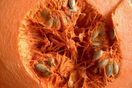 Aceite de calabaza, una fuente de ácidos grasos muy beneficiosa