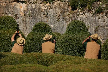 Marqueyssac Jardins 15