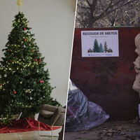 Si has decorado tu casa con un árbol de Navidad natural, Madrid advierte sobre lo peor que puedes hacer: llevarlo al monte