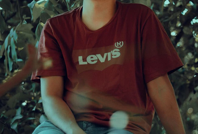 Levies
