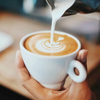 The Coffee Industry Says the Current Price Surge Is Unsustainable: $8 for a Cappuccino Is Too Much 