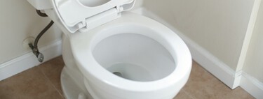 Es asqueroso aunque no lo veamos: esto es lo que pasa si tiras de la cadena con la tapa del inodoro levantada 