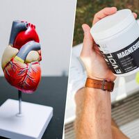 Tu corazón tiene un "freno de mano" natural contra el envejecimiento y es importante consumir el suficiente