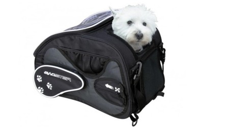 Bagster Friendly para que tu mascota te acompañe a todas partes