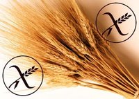 La lactancia materna con pequeñas tomas de gluten podrían prevenir la enfermedad celíaca