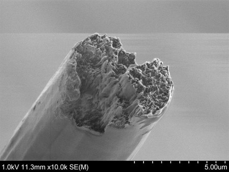 Este biomaterial ya es el más fuerte del mundo, por encima del acero