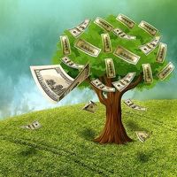 Cómo identificar el fraude en los cursos digitales