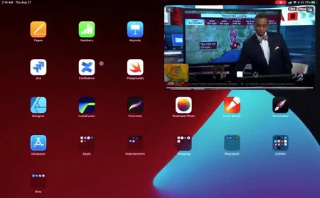 Youtube ネイティブ ピップ