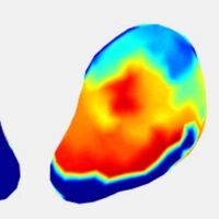 Logran crear mapas 3D de las contracciones durante el parto gracias a una nueva herramienta