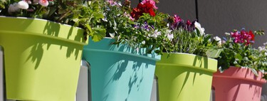 Seis ideas para decorar con plantas un balcón pequeño sin saturarlo 