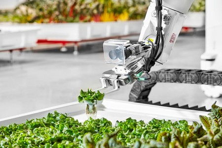 Esta granja autónoma produce más alimento y prescinde de trabajadores humanos