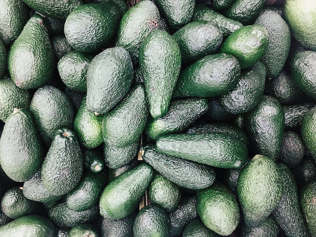 México se coloca como el primer productor de aguacate y limón a nivel mundial, por encima de EU, Canadá y Japón: SIAP