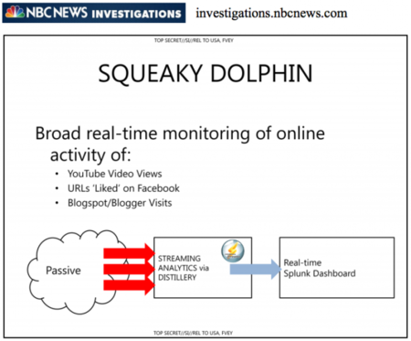 Squeaky Dolphin