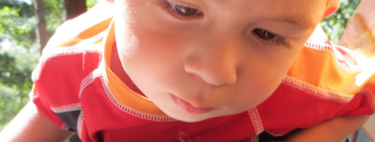 Ya están aquí las orugas procesionarias: cómo evitarlas y qué hacer en caso de contacto accidental