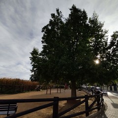 Foto 7 de 26 de la galería galeria-motorola-one-zoom en Xataka