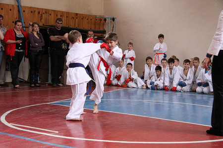 Artes marciales mixtas (MMA), un deporte de demasiado contacto
