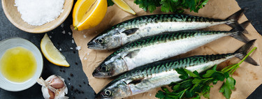 El pescado en la alimentación infantil: atún, sardina, salmón y otros pescados azules