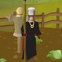 Es uno de los ítems más inútiles en un MMO, pero durante cuatro años un jugador lo convirtió en el centro de una religión